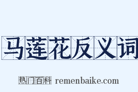 马莲花反义词是什么意思的图片